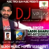 About Dj Vajjne Song